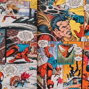 Catégorie BD et Manga